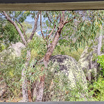 Thumb for Magnetic Island